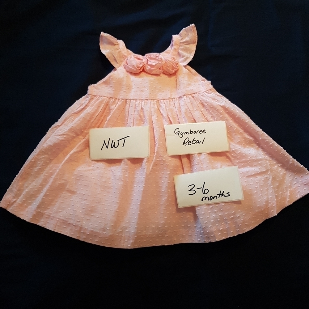 Gymboree girls 3-6 months pink dress ruffle cap sleeve dress & diaper cover NWT
